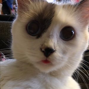 Meet your Posher, Aly